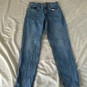 Everlane Curvy Cheek Straight Ankle Jean